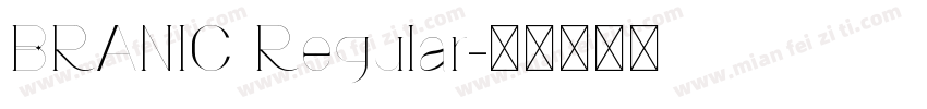 BRANIC Regular字体转换